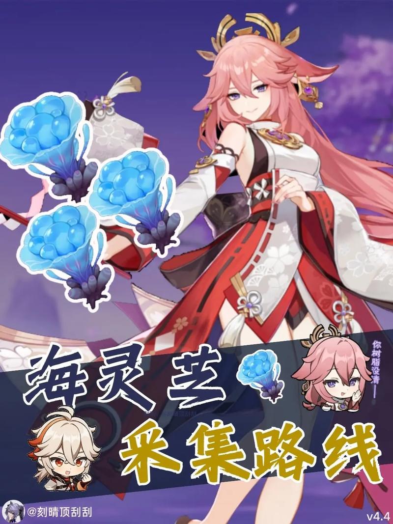 原神海灵芝哪里买