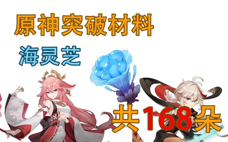 原神小畑为什么不能买海灵芝?