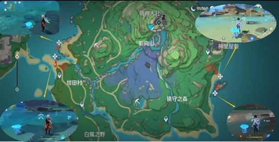 原神海灵芝在哪?