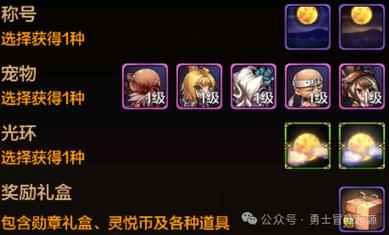dnf宠物右槽特效怎么开