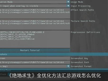 绝地求生中设置了fps显示没了怎么恢复