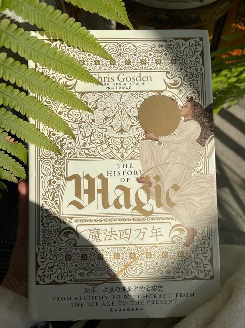 吉尼亚斯吉尼亚斯的术(魔法)表
