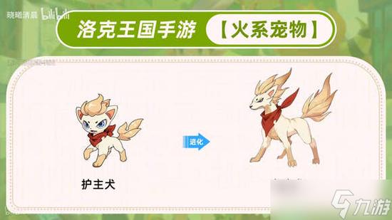 洛克王国抓什么宠物好