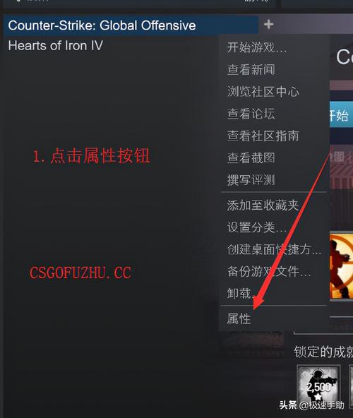 怎么设置csgo国服启动项