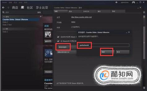 csgo怎么改国服steam-国服启动方式