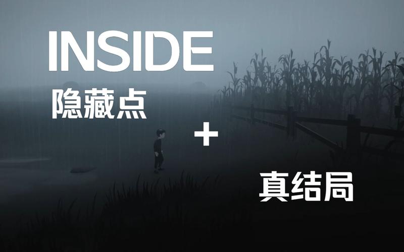 inside游戏隐藏结局是什么意思