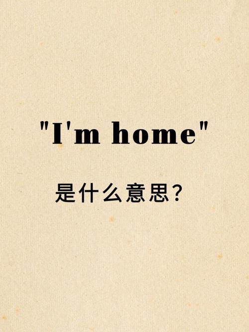 猎杀潜航3中,TDU里面,鱼雷引信的“I”和“M”有什么区别?