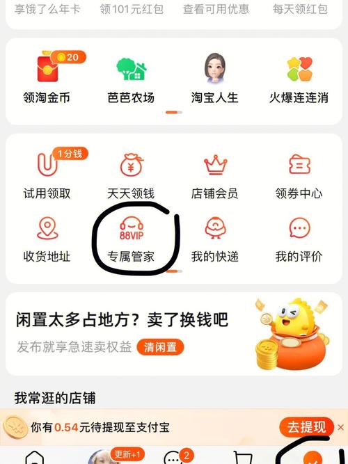 淘宝上鹰击长空2中文版那么便宜是怎么回事啊?