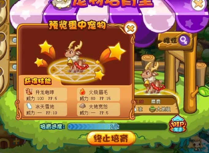 洛克王国冰天雪地技能石怎么得