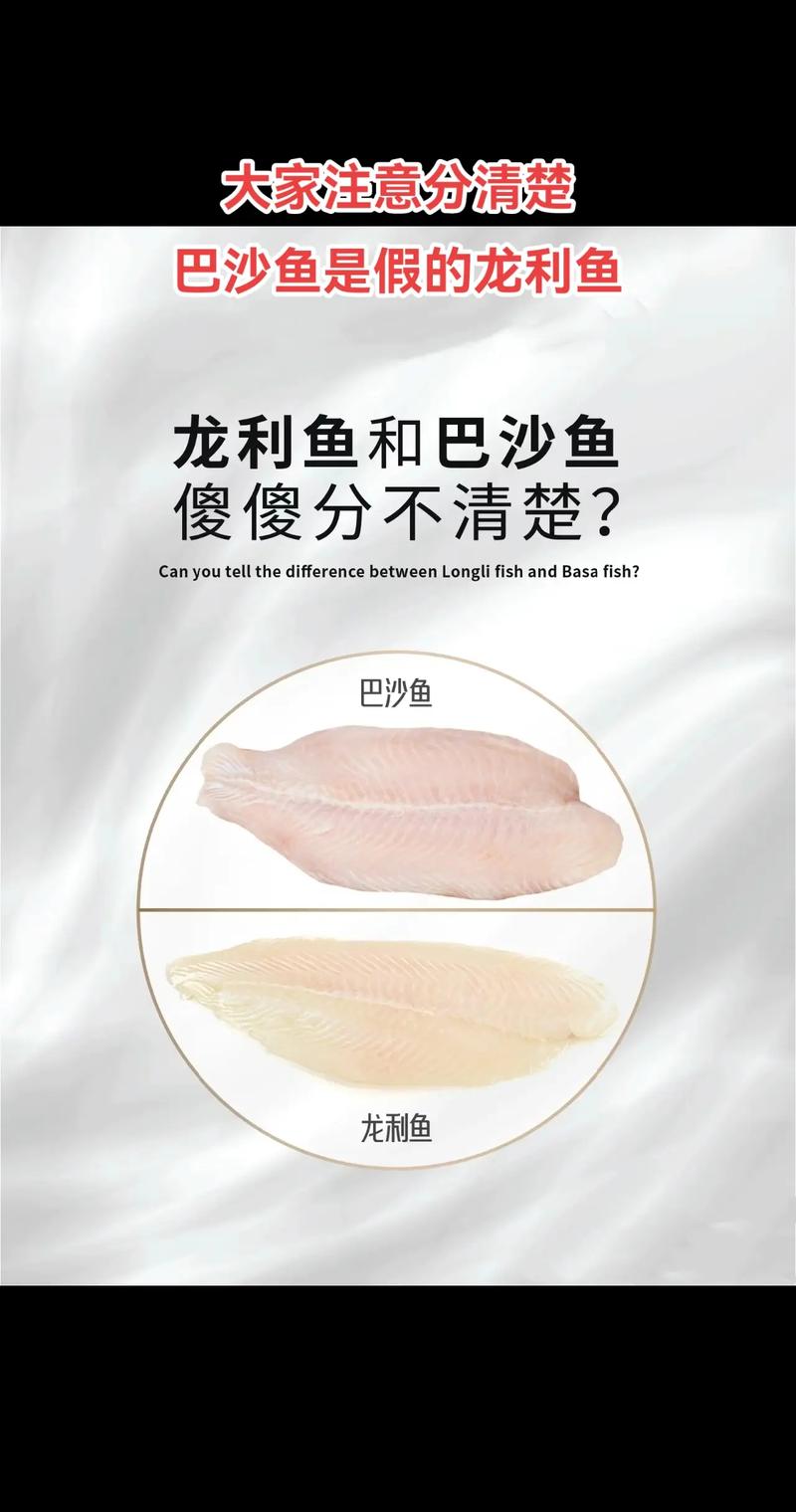 龙利鱼和巴沙鱼的区别