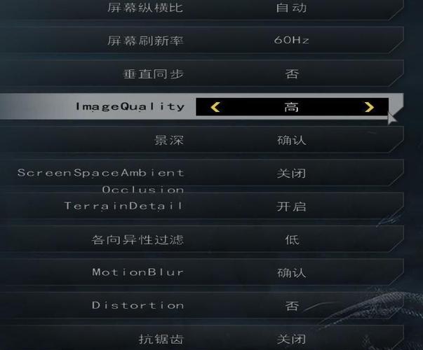 使命召唤10设置中文该怎么办?