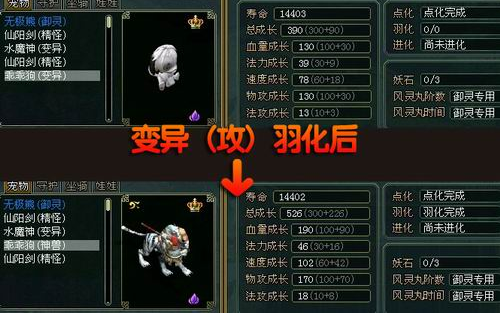 问道变异点化羽化好多少钱?
