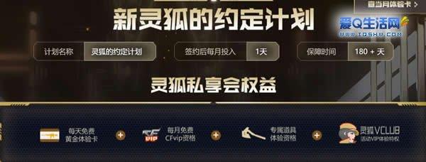 cf首月签约灵狐是什么意思