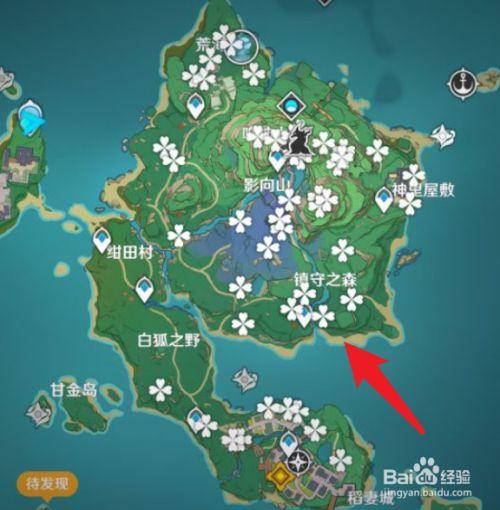 原神绯樱绣球全点位采集路线分享
