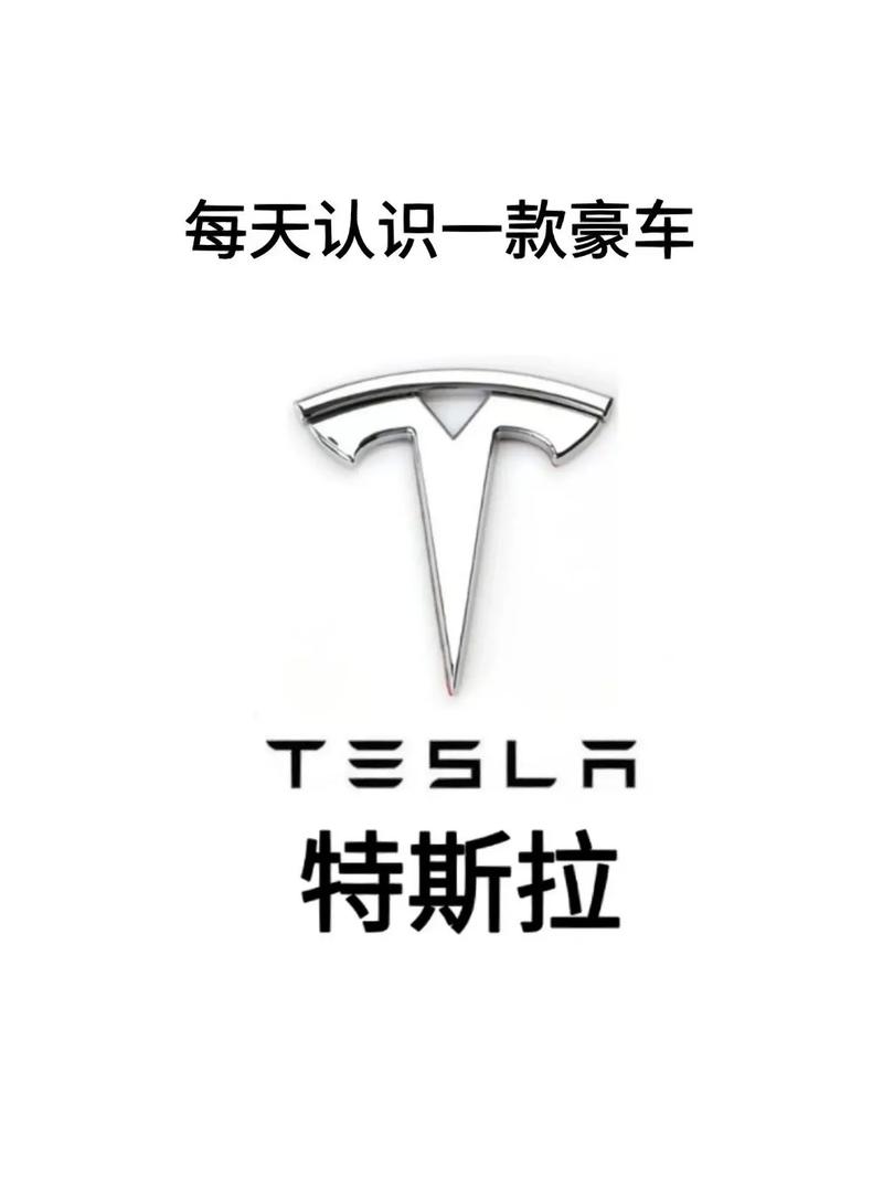 特斯拉属于什么档次